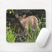 Tapis De Souris Virginia Deer Fawn Bébé Animal Faune Photo (Avec souris)