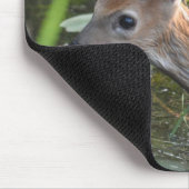 Tapis De Souris Virginia Deer Fawn Bébé Animal Faune Photo (Coin)