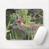 Tapis De Souris Virginia Deer Fawn Bébé Animal Faune Photo (Avec souris)