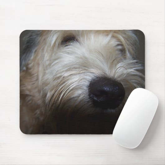 Tapis De Souris Visage blond comme les blés de chien de Terrier (Avec souris)
