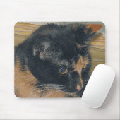 Tapis De Souris Visage Calico Kitten (Avec souris)