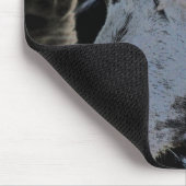 Tapis De Souris Visage Collier Bordure Noire (Coin)