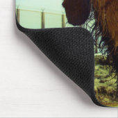 Tapis De Souris Visage de câble mignon de teckel de cheveux (Coin)