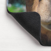 Tapis De Souris Visage de chameau (Coin)