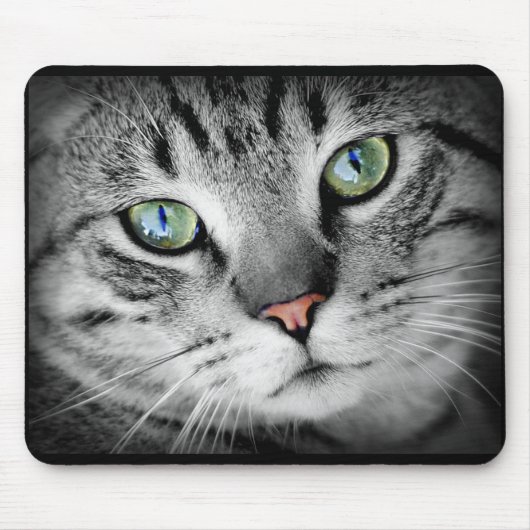 Tapis de souris visage de chat gris mignon (Devant)