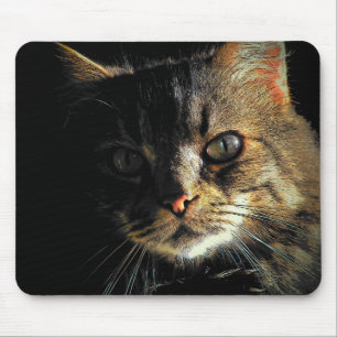 Tapis De Souris Visage de chat Maine Coon