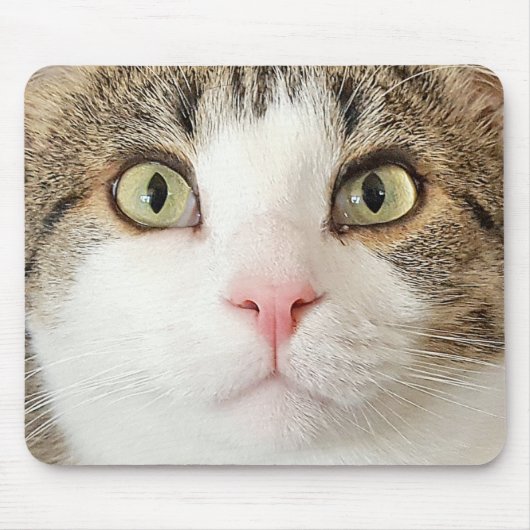Tapis De Souris visage de chat tabby (Devant)