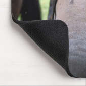 Tapis De Souris Visage de cheval (Coin)