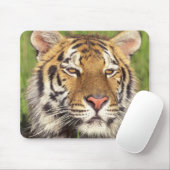 Tapis De Souris Visage de tigre (Avec souris)