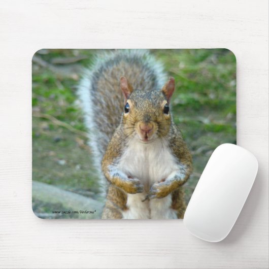 Tapis De Souris Visage doux d'écureuil (Avec souris)