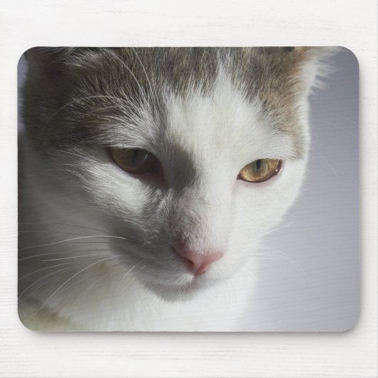 Tapis De Souris Visage d'un chat (Devant)