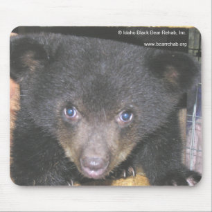 Tapis De Souris Visage en gros plan Mousepad de CUB d'ours