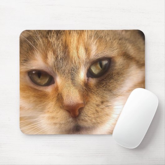 Tapis De Souris visage mignon 3 de chat (Avec souris)