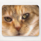 Tapis De Souris visage mignon 3 de chat (Devant)