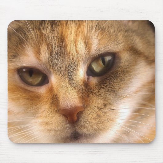 Tapis De Souris visage mignon 3 de chat (Devant)