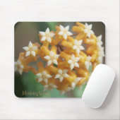 Tapis De Souris Vitellina Mousepad d'aff de Hoya (Avec souris)