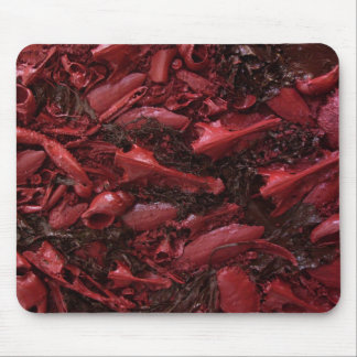 Tapis De Souris Vivant !