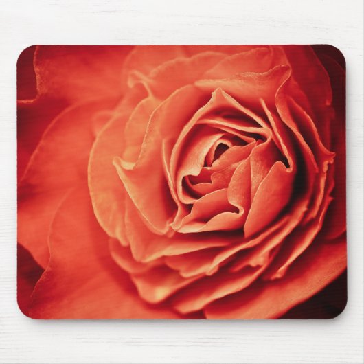 Tapis De Souris vivant rose (Devant)
