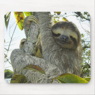 Tapis De Souris Vivre la vie comme une Sloth