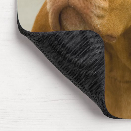 Tapis De Souris Vizsla (Coin)