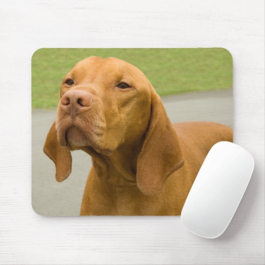 Tapis De Souris Vizsla (Avec souris)