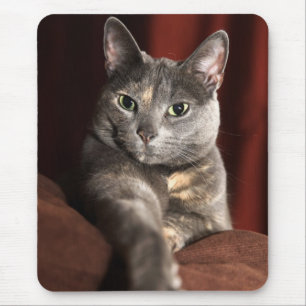 Tapis De Souris Voici le mousey