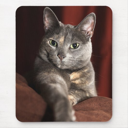 Tapis De Souris Voici le mousey (Devant)