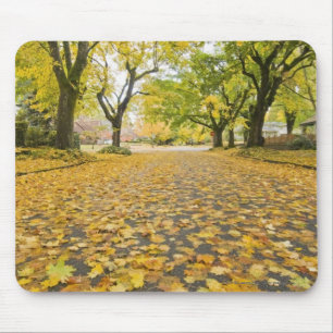 Tapis De Souris Voisinage d'Eastmoreland en automne
