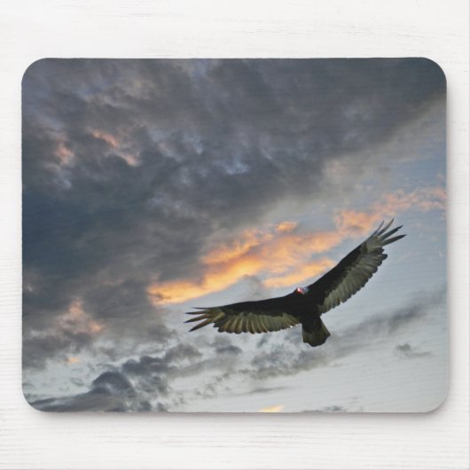 Tapis De Souris Vol Eagle (Devant)