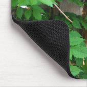 Tapis De Souris Volière (Coin)