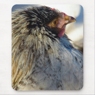 Tapis De Souris Voter Le Poulet
