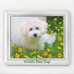 Tapis De Souris Votre Cadre Photo Sur Mousepad