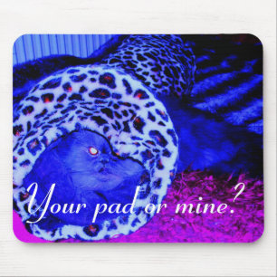 Tapis De Souris Votre protection ou mine ?