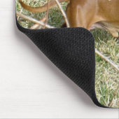 Tapis De Souris Voulez jouer ? (Coin)