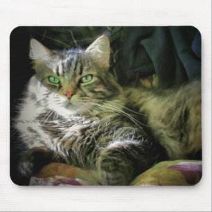 Tapis De Souris Vous voulez cette chaise ?
