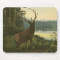 Vue arrière du lac Elk Vue sur un lac