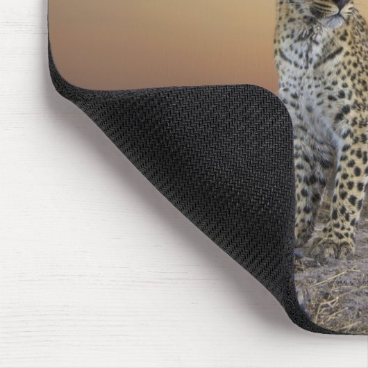 Tapis De Souris Vue complète du Leopard (Panthera pardus) (Coin)