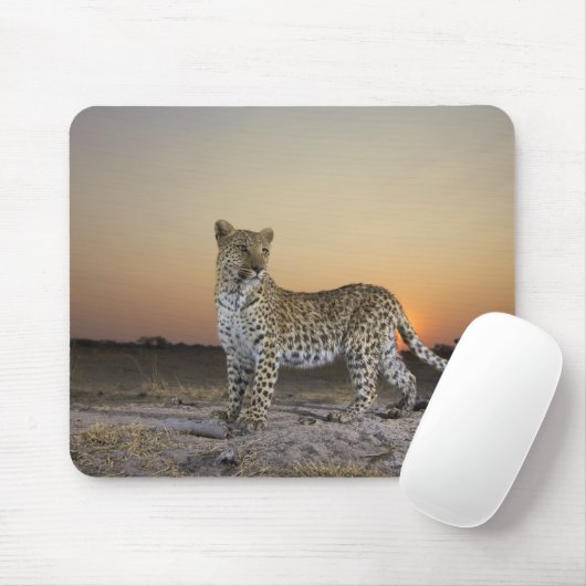 Tapis De Souris Vue complète du Leopard (Panthera pardus) (Avec souris)
