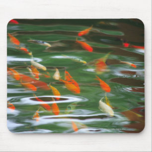 Tapis De Souris Vue courbe des poissons de merde de koi dans un