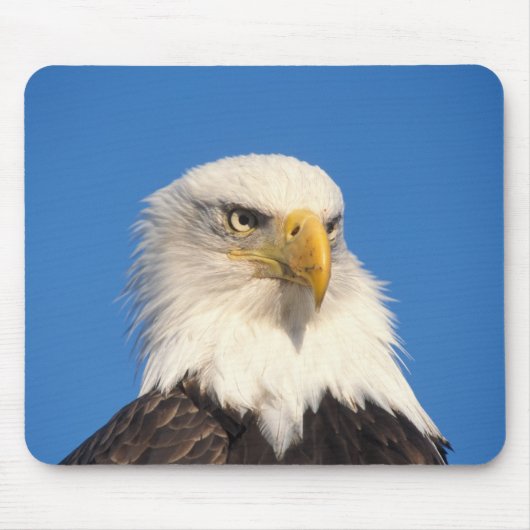 Tapis De Souris Vue d'aigle chauve (Devant)
