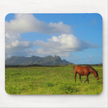 Vue de cheval de Kauai