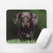 Tapis De Souris Vue de Dachshund couleur Dapple (Avec souris)