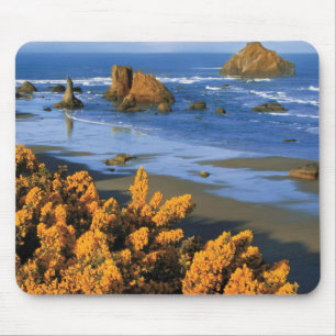 Tapis De Souris Vue de la plage de l'Oregon à Bandon
