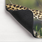 Tapis De Souris Vue de la queue de léopards (Panthera pardus), (Coin)