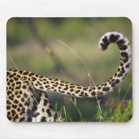 Tapis De Souris Vue de la queue de léopards (Panthera pardus), (Devant)