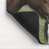 Tapis De Souris Vue du cheval, gros plan (Coin)