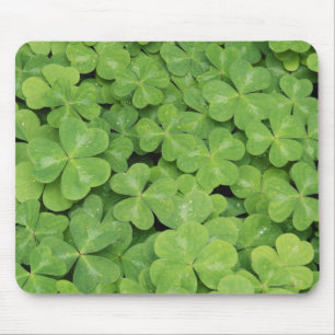 Tapis De Souris Vue du feuillage d'Oxalis Oregana oseille des bois