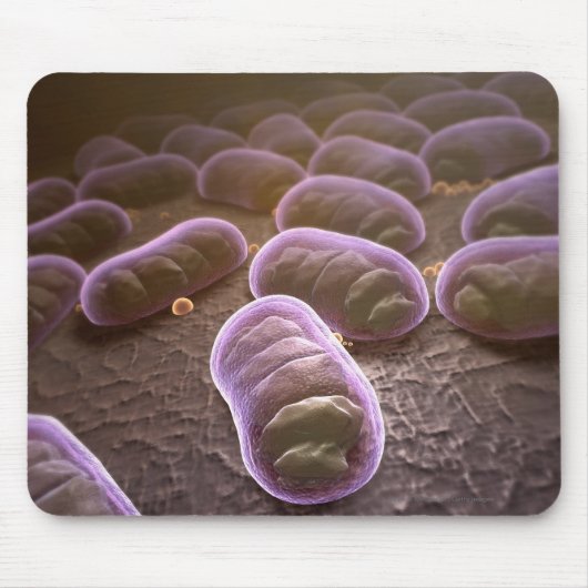 Tapis De Souris Vue microscopique des bactéries (Devant)