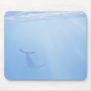 Tapis De Souris Vue sous-marine de baleine