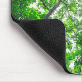 Tapis De Souris Vue vers le haut des arbres (Coin)